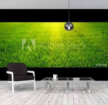 Image de Green lawn for background